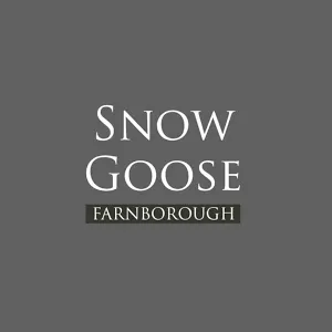 The Snow Goose